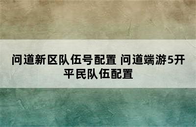 问道新区队伍号配置 问道端游5开平民队伍配置